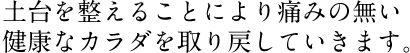 土台を整えることにより痛みの無い健康なカラダを取り戻していきます。