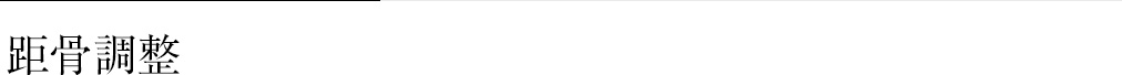 距骨調整